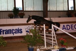 Altair a skok ve volnosti