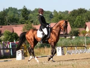 1. místo v drezurní soutěži L