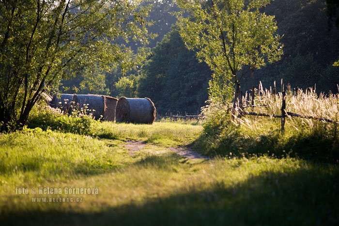 balíky sena balíky sena