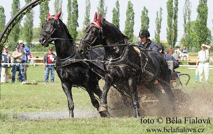 Martin Hejl v semickém maratonu