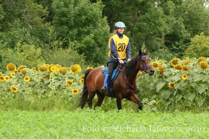 Sirhael - vítězka S Sirhael - vítězka S