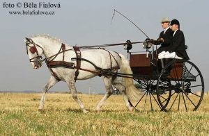 Jan Exnar a Gss Farina XXXVIII-57