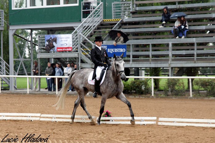 Miloslav Příhoda Miloslav Příhoda