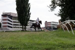 Terén - páteční déšť terénu pouze prospěl.