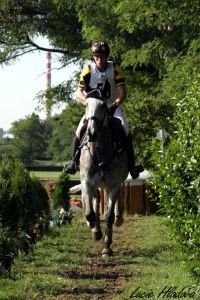 Miloslav Příhoda - Gomba 1