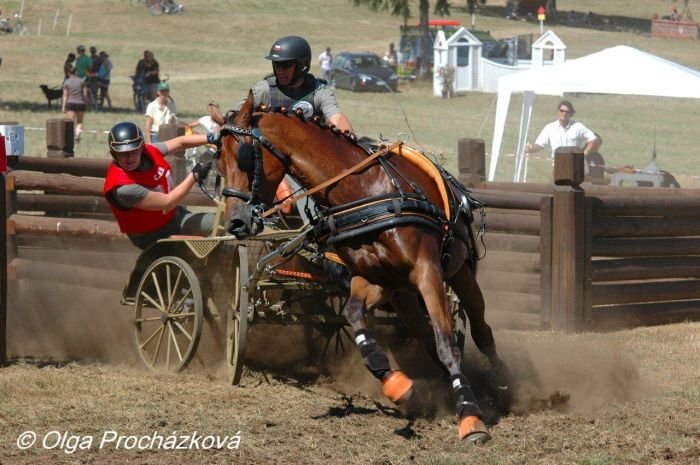 Jan Jelínek a Lord v první překážce maratonu Jan Jelínek a Lord v první překážce maratonu