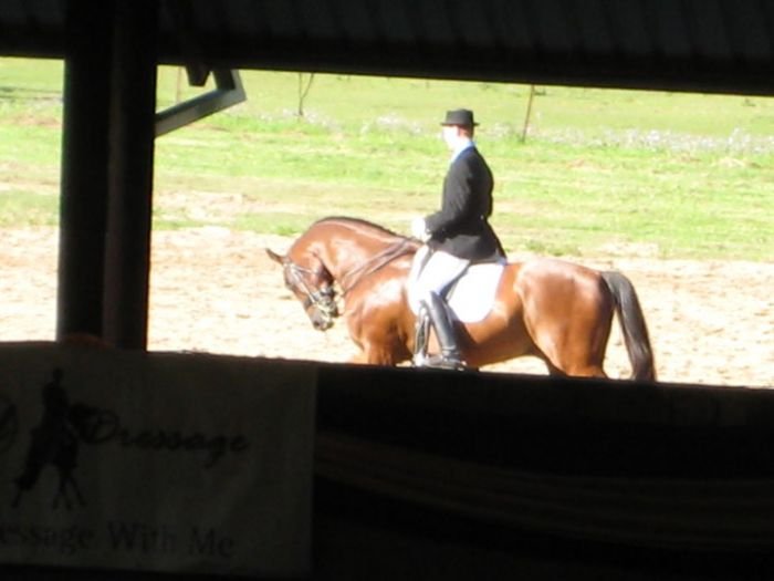 Podle zdroje byl tento kůň v této pozici držen 50 minut.