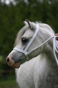 Ilustrační foto Martin Blažek