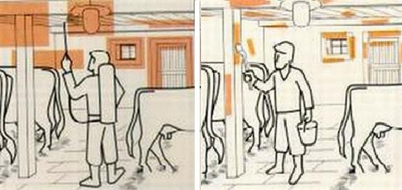 aplikace insekticidů proti mouchám aplikace insekticidů proti mouchám