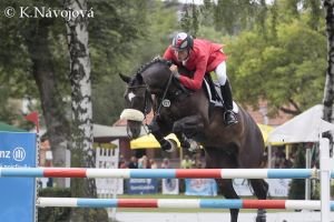 Jiří Luža, Ronaldo