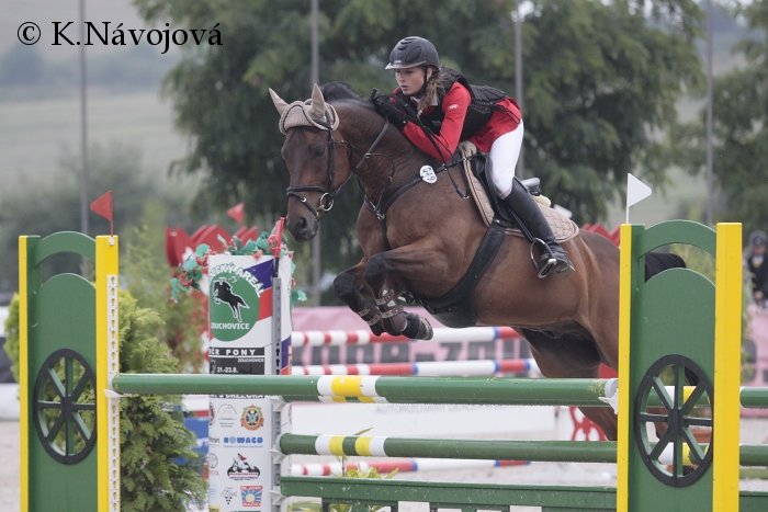 Lucie Krulichová - Nikola