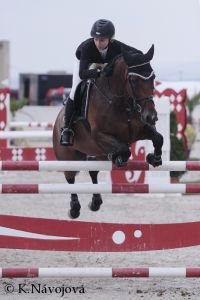 Kristina Stonjeková - Vidina 1