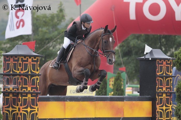 Michal Hyka - Goltara