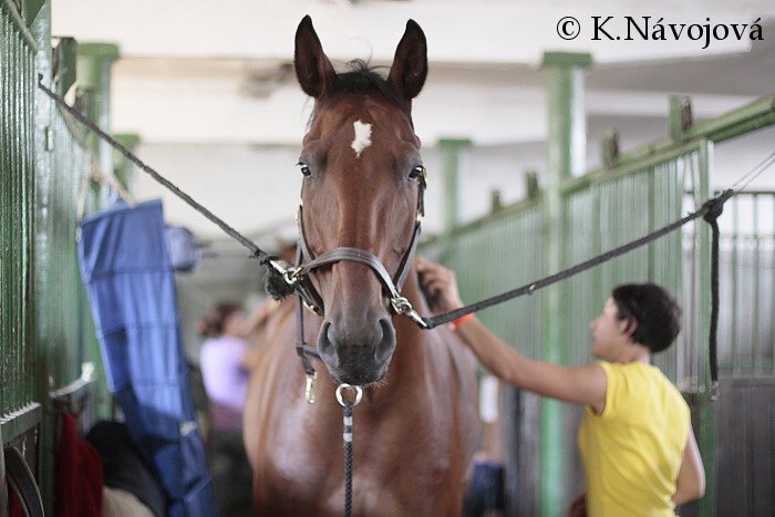 Lenka Chromčáková a Titan Lenka Chromčáková a Titan
