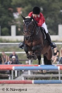 Natálie Crnková, Congo King Gain