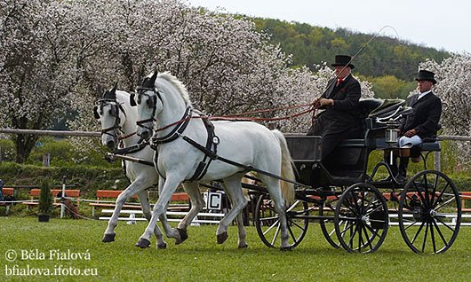 Ing. Ladislav Vyrtych (Semice, 2008) Ing. Ladislav Vyrtych (Semice, 2008)