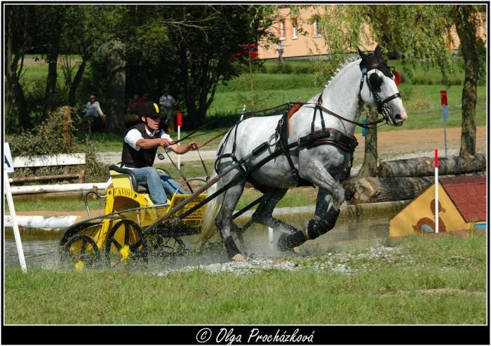 Jan Exnar (JK Hřebčín Favory) a Gss Farina XXXVIII-57