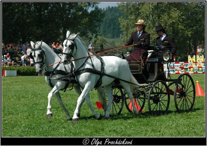 Tomáš Barták (JK Barták Nahoruby)