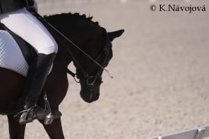 Michaela Pavlisová - Trinka