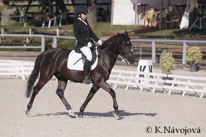 Jiřina Ludvíčková - Kristal