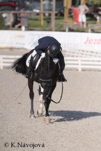 Tereza Markusková - Limetree Aracorn