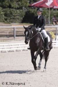 Nikola Grunthálová - Diamant