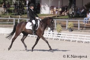 Lucie Šrámková - Monty