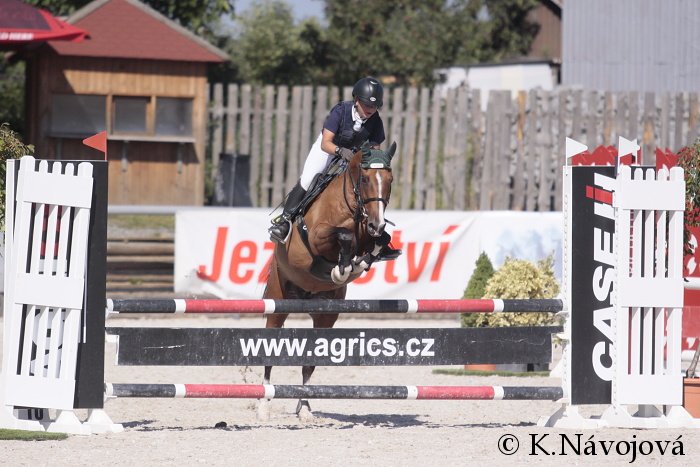 Robert Johannovský, Pasha 1 Robert Johannovský, Pasha 1