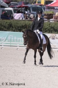 Anna Chmelařová, Van Gogh