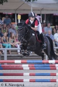 Viktor Trávníček, Drak 11