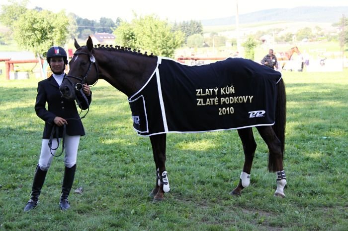 Zlatý kůň 2010: Damon 2