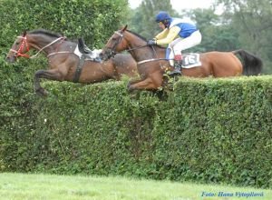 Jiří Kousek, Aspirant