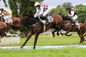 J. Váňa ml., Tiumen