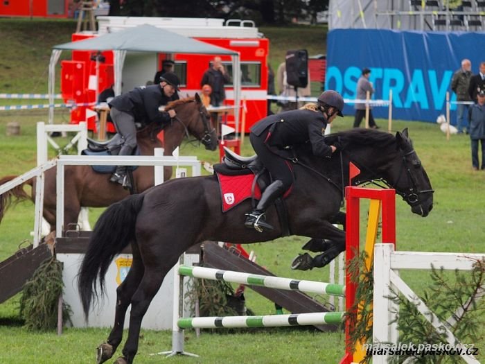 zrcadlové skákání