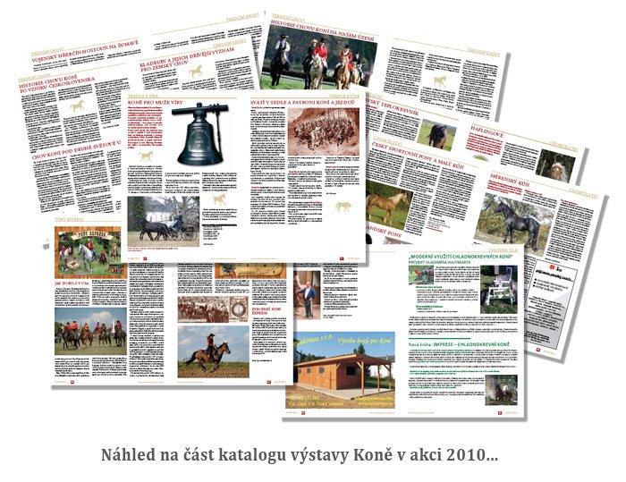 katalog - textová část katalog - textová část