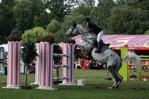 Ludvík Jandourek s Carsio Karsit vyhrál loni i bez podkovy!