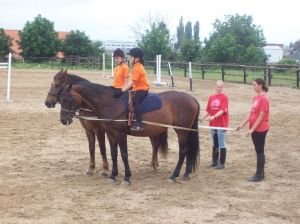 Den koní Piafa Vyškov