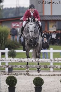 Ondřej Zvára, Cento Lano Arcus
