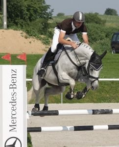 finále českého šampionátu mladých koní