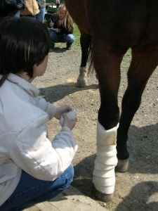 praktické obvazování končetin