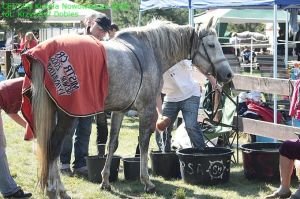 Naomi Dakota v přestávce