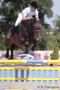 Aleš Opatrný, Verdi 6