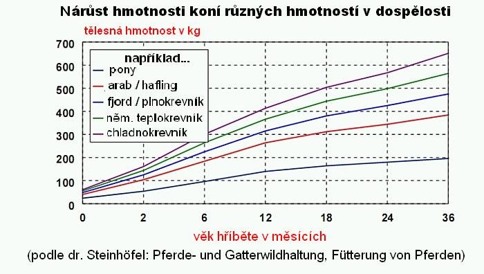 růst hříbat různých plemen