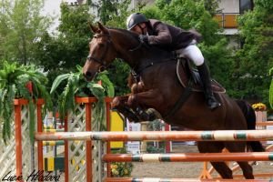  ČSP jde do finále (ilustrační foto)