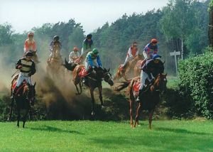 Dostihy (foto: DC Zámrsk)