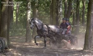 Pavel Matouš (JK Sobotka)