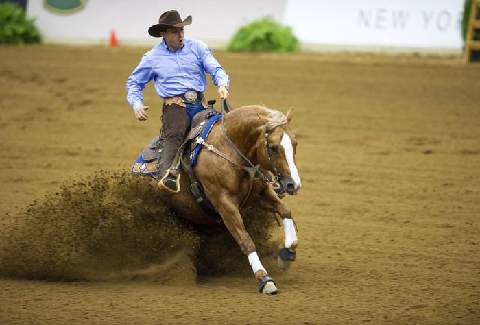 Reining: Stefano MASSIGNAN (ITA) a Yellow Jersey. Foto Kit Houghton/FEI. Reining: Stefano MASSIGNAN (ITA) a Yellow Jersey. Foto Kit Houghton/FEI.