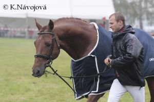 Aleš Opatrný, Cartouche