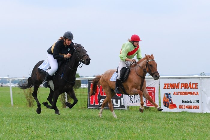 dostih velkých poníků