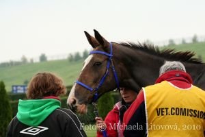 Endurance Day Most 2010